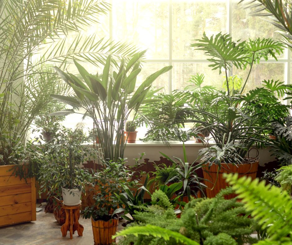 jardineria