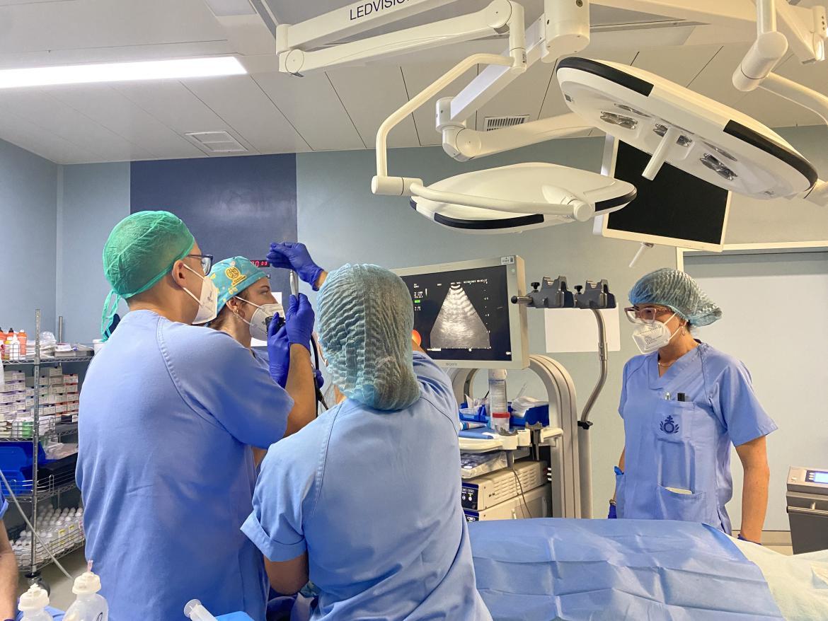 Momento en quirofano realizando una criobiopsia mediastínica