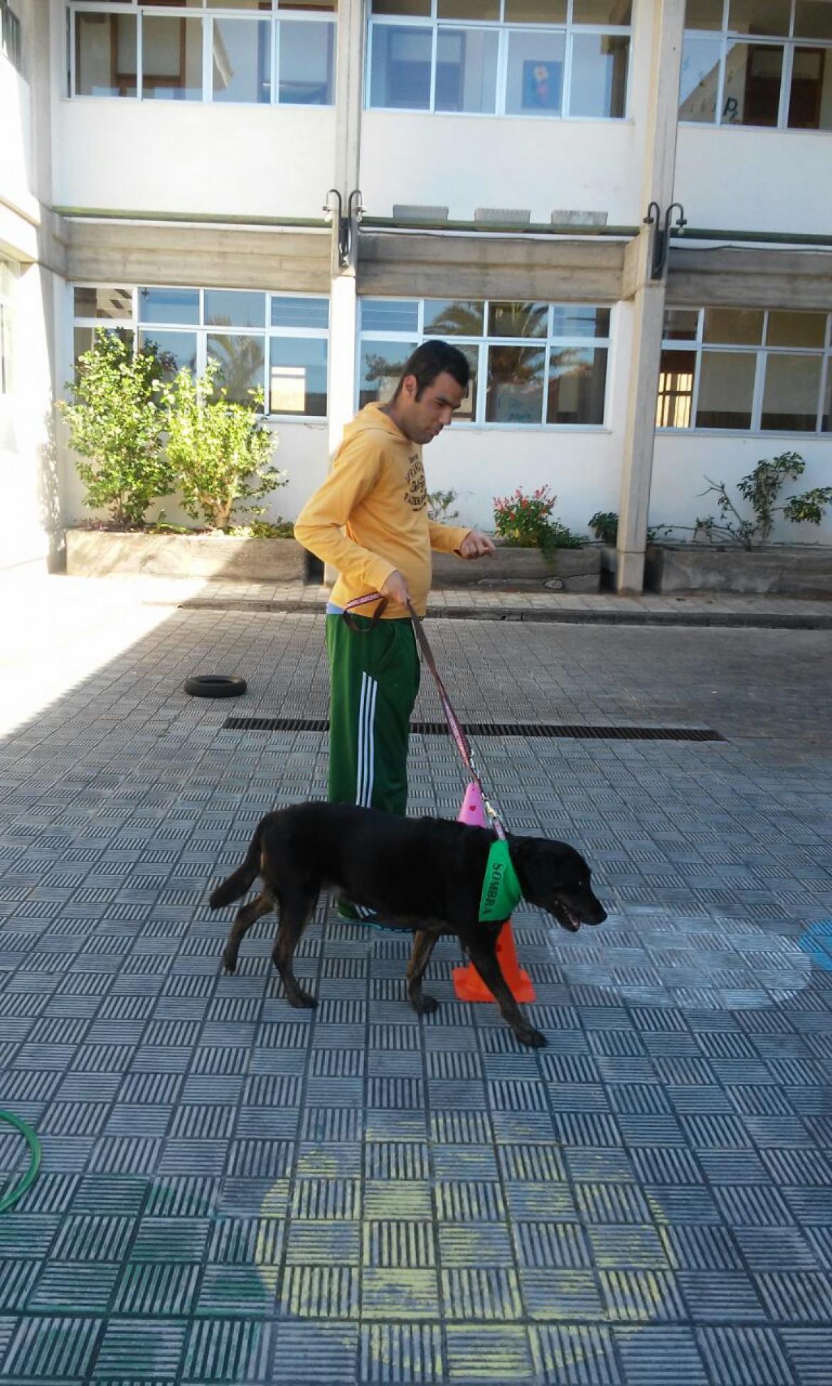 El Centro de Estancia Diurna Dorador de La Palma apuesta por la terapia con animales para mejorar la socialización de los usuarios